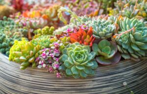 Ideas para decorar tu casa en otoño