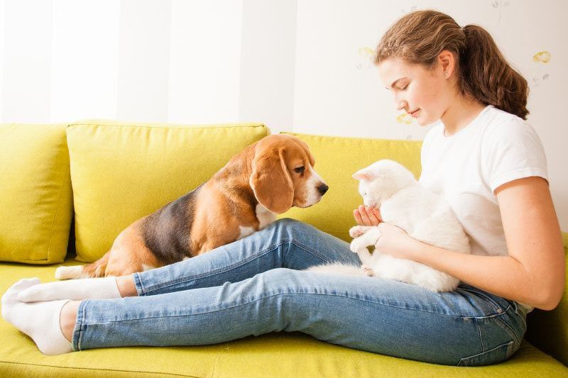 muebles-super-sofas-22